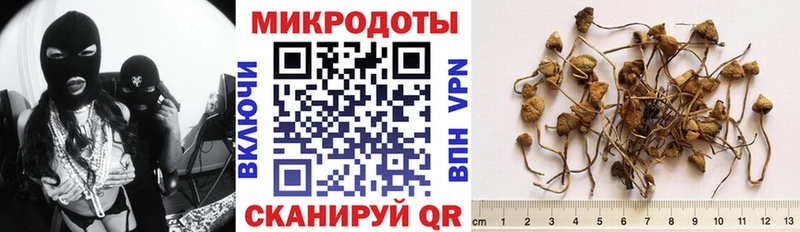 Галлюциногенные грибы мухоморы  Купить  Десногорск 